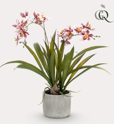 Orchidee bordeaux ↕45 cm - Kunstplant
