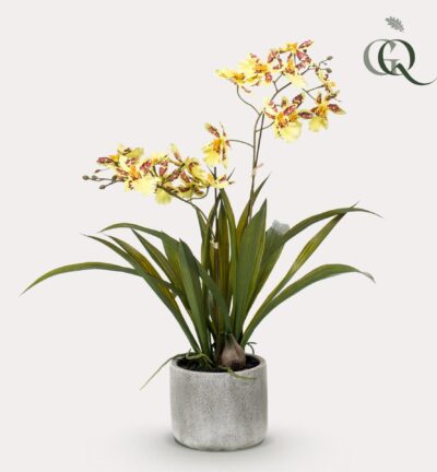 Orchidee geel ↕45 cm - Kunstplant