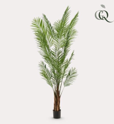 Areca Lutescens ↕240 cm - Kunstplant
