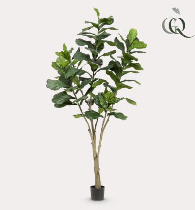 Ficus Lyrara ↕210 cm - Kunstplant