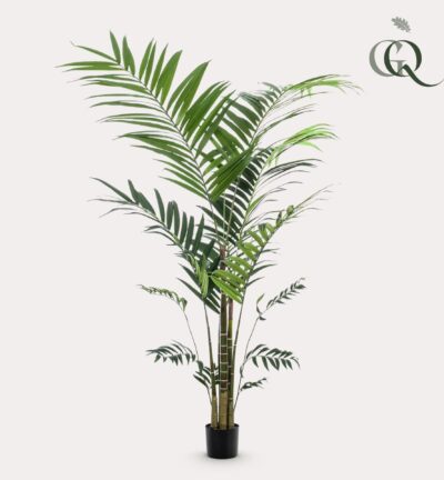 Kentiapalm ↕210 cm - Kunstplant