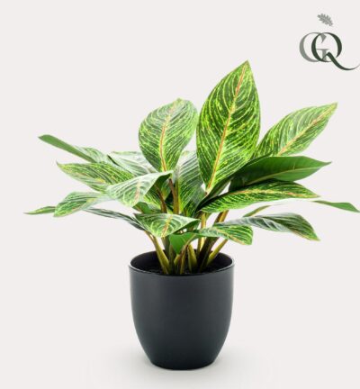 Kunstplant - Croton Codiaeum - Wonderstruik - 38 cm