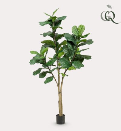 Kunstplant - Ficus Lyrata - Tabaksplant - 180 cm