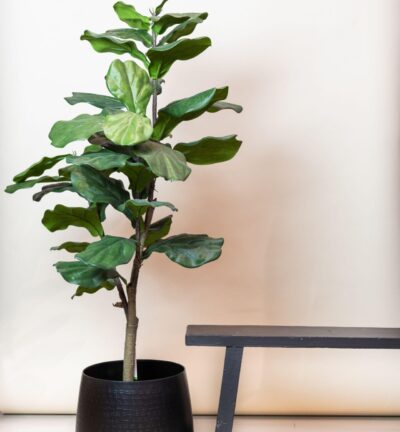 Kunstplant - Ficus Lyrata - Tabaksplant - 120 cm