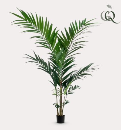 Kunstplant - Kentia -Kentiapalm - 150cm