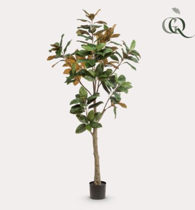 Kunstplant - Magnolia Grandiflora - 180 cm