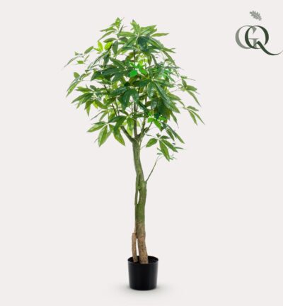 Kunstplant - Pachira Aquatica - Geldboom - 150 cm