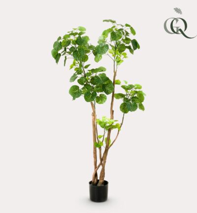 Kunstplant - Polyscias - Aralia - 135 cm