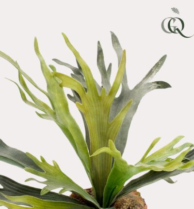 Kunstplant - Staghorn Fern - Hertshoorn - 50 cm