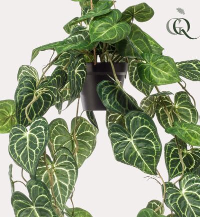 Kunstplant - Anthurium Clarinervium - Aderplant - 80 cm