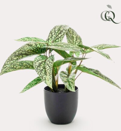 Kunstplant - Calathea Dots - Schaduwplant - 38 cm