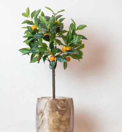 Kunstplant - Citrus Sinensis - Sinaasappelboom - 75 cm