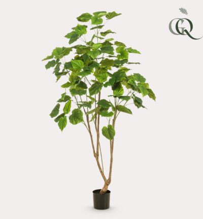 Kunstplant - Ficus umbellate - Afrikaanse vijg - 180cm