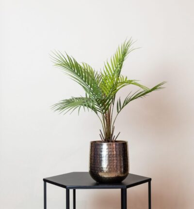 Kunstplant - Chamaedorea - Bergpalm - 50 cm