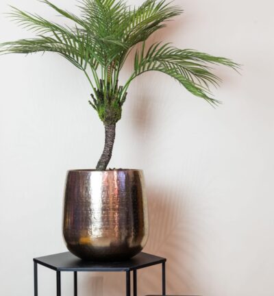 Kunstplant - Chamaedorea - Bergpalm - 85 cm